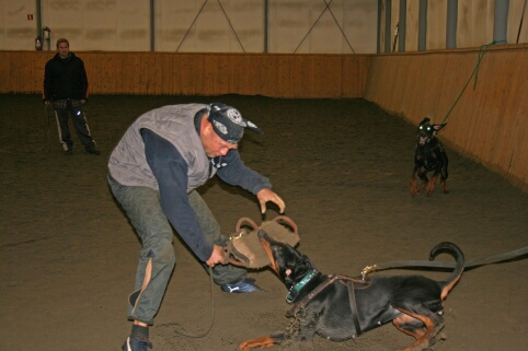 Training in Finland 12/2006