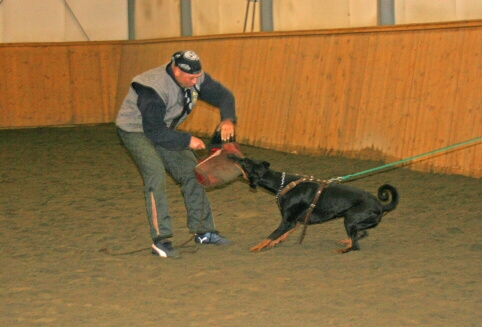 Training in Finland 12/2006