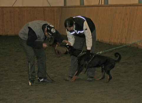 Training in Finland 12/2006