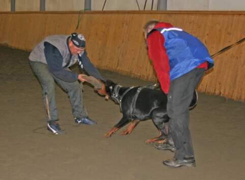 Training in Finland 12/2006