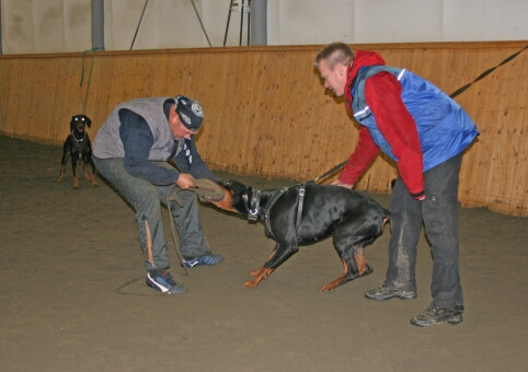 Training in Finland 12/2006