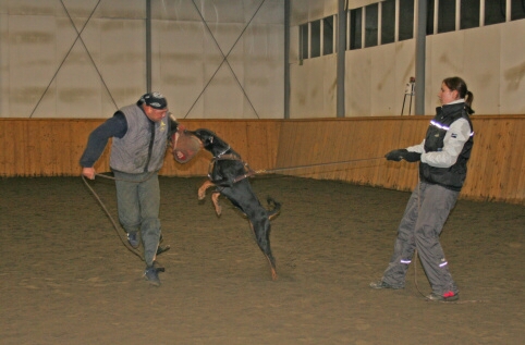 Training in Finland 12/2006