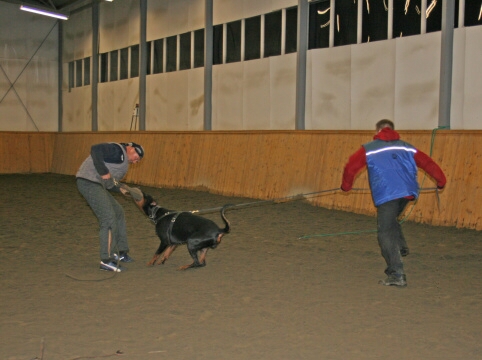 Training in Finland 12/2006