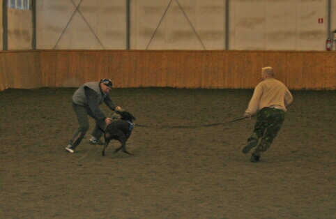 Training in Finland 12/2006