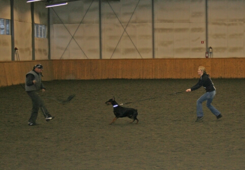 Training in Finland 12/2006