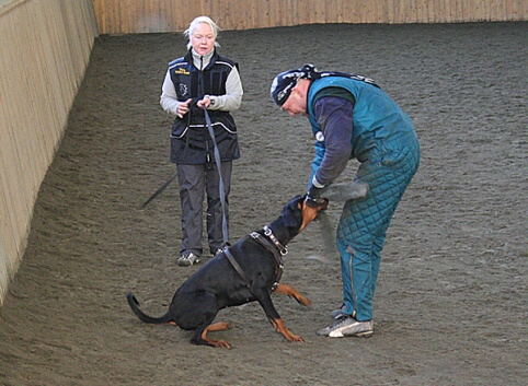 Training in Finland 1/2007