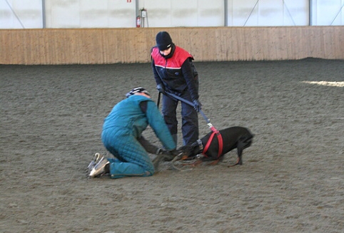 Training in Finland 1/2007