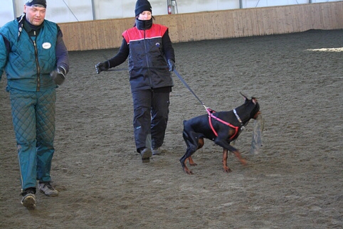 Training in Finland 1/2007