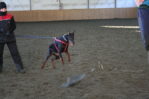 Training in Finland 1/2007