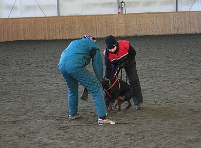 Training in Finland 1/2007