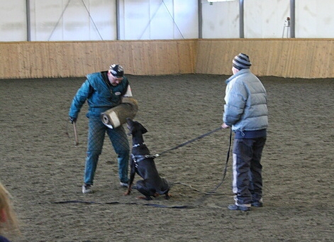 Training in Finland 1/2007