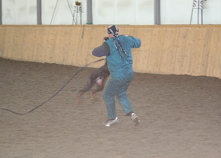 Training in Finland 1/2007