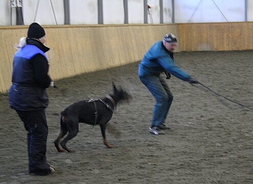 Training in Finland 1/2007