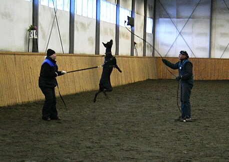 Training in Finland 1/2007