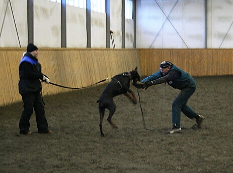 Training in Finland 1/2007