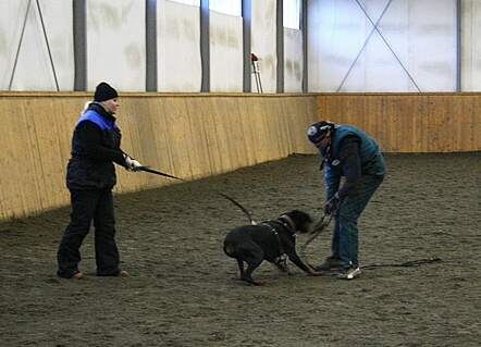 Training in Finland 1/2007