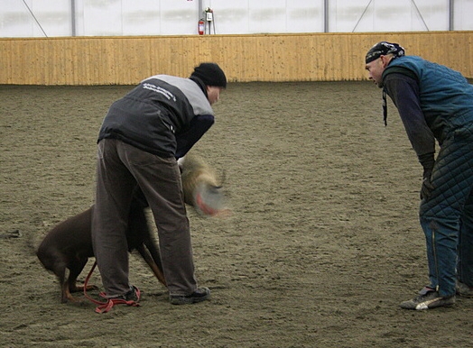 Training in Finland 1/2007