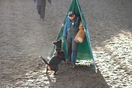 Training in Finland 1/2007