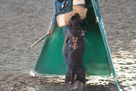 Training in Finland 1/2007