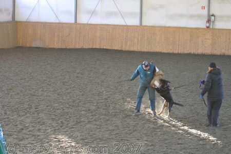 Training in Finland 1/2007