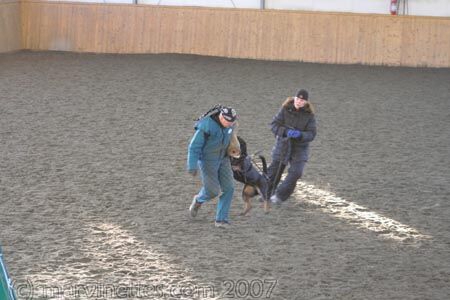 Training in Finland 1/2007