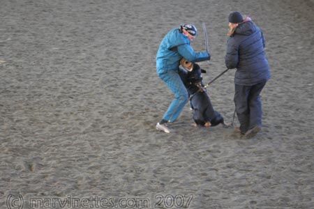 Training in Finland 1/2007