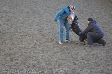 Training in Finland 1/2007