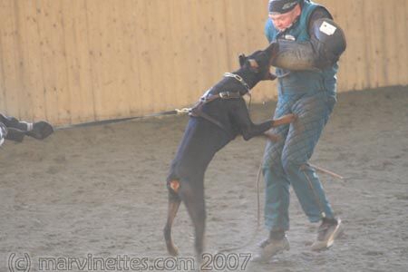 Training in Finland 1/2007