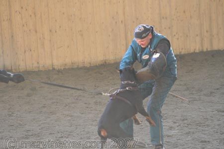 Training in Finland 1/2007