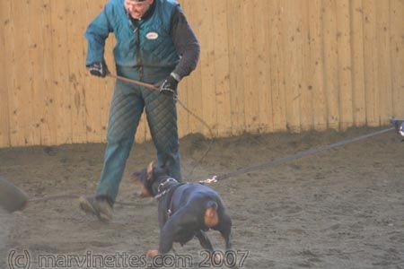 Training in Finland 1/2007