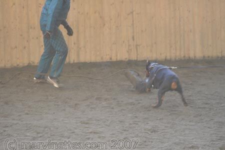 Training in Finland 1/2007