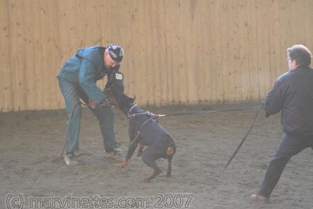 Training in Finland 1/2007