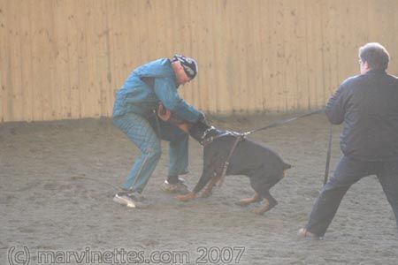 Training in Finland 1/2007