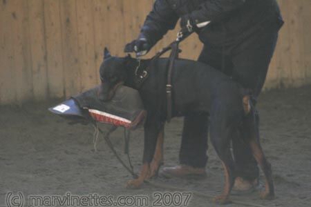 Training in Finland 1/2007