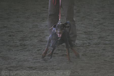 Training in Finland 1/2007