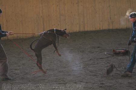 Training in Finland 1/2007