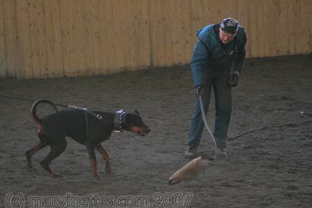 Training in Finland 1/2007