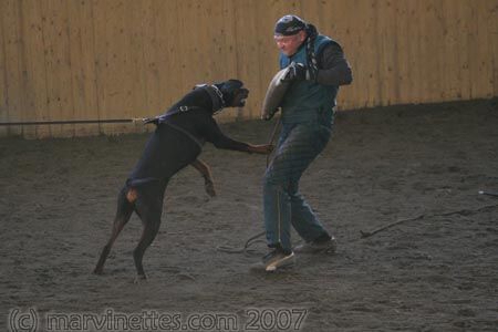 Training in Finland 1/2007