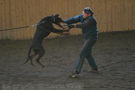 Training in Finland 1/2007