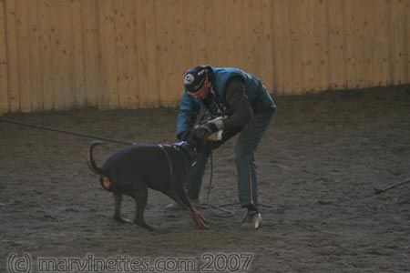 Training in Finland 1/2007