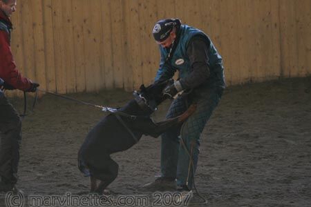 Training in Finland 1/2007