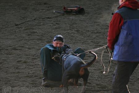 Training in Finland 1/2007