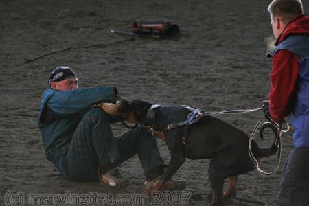 Training in Finland 1/2007