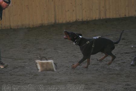 Training in Finland 1/2007