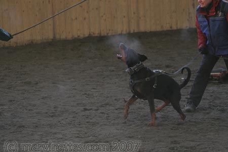 Training in Finland 1/2007