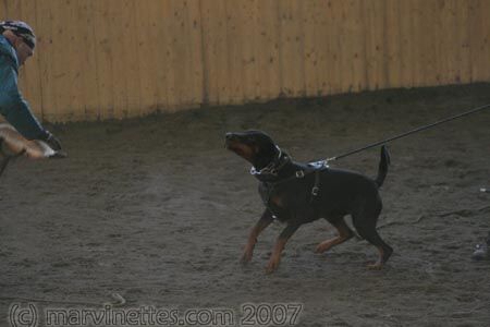 Training in Finland 1/2007