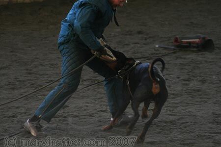 Training in Finland 1/2007