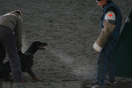 Training in Finland 1/2007