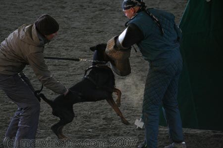 Training in Finland 1/2007