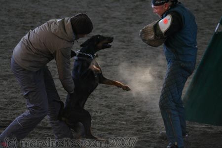 Training in Finland 1/2007